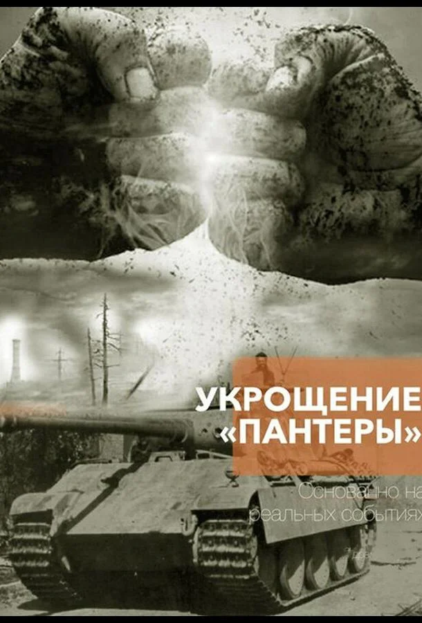 Укрощение «Пантеры» смотреть онлайн